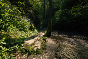 Wanderweg ganz dicht am Ehrbach entlang in gehimnisvoller Atmosphäre Wanderweg ganz dicht am Ehrbach entlang in gehimnisvoller Atmosphäre